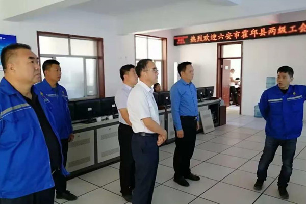 安徽省六安市两级工会向导深入4118云顶集团公司调研考察